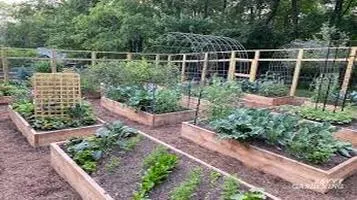 A Comprehensive Review of Planters and Raised Garden Beds: Enhancing Your Gardening Experience