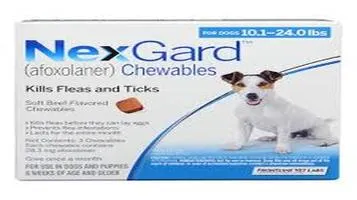 Review of NexGard Flea and Tick Prevention