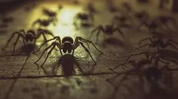 A Web of Intrigue: Exploring the World of Giant Spiders