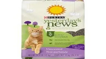 Yesterday's News Litter Box