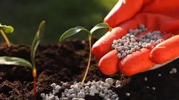 The Essential Guide to Fertilizer: A Comprehensive Review