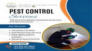 Exceptional Service and Results: My Experience with Pest Control Solutions