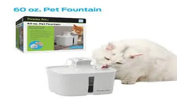 Bergan Pet Fountain A Comprehensive Look at Pet Water Fountains