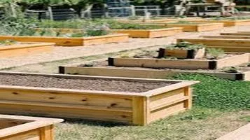 Raised Bed Gardening Advantages and Tips