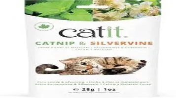 Catit Catnip Toys – A Feline Favorite