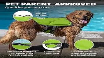 Outward Hound Pet Clothing: A Comprehensive Review