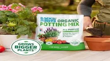 Review of Organic Soil Mix: A Gardener's Delight