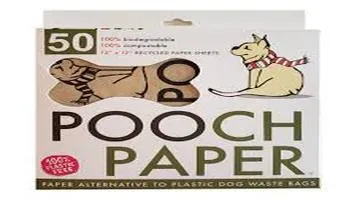 Pooch Paper House Training Sprays - A Game Changer for Pet Owners