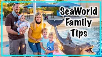 A Comprehensive Review of SeaWorld Parks Family Vacations in the USA