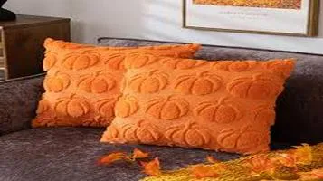 Review of Pumpkin Throw Pillows