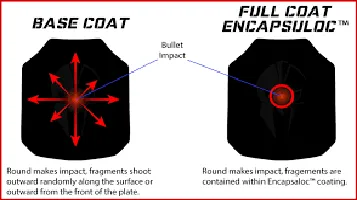 Base Coat: A Comprehensive Review