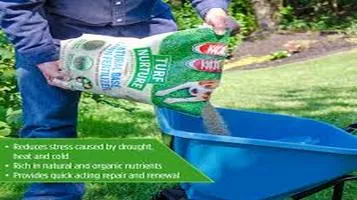 Lawn Fertilizer Nurturing Your Lawn to Perfection