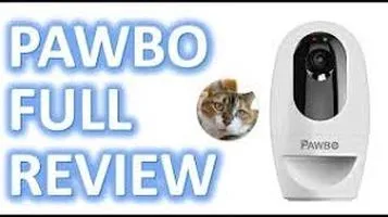 Pawbo Pet Camera: A Comprehensive Review