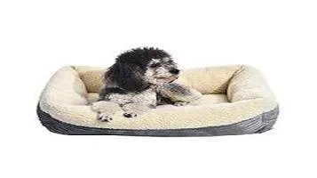 AmazonBasics Heated Pet Beds