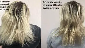 Olaplex Hair Perfector No. 3: A Comprehensive Review