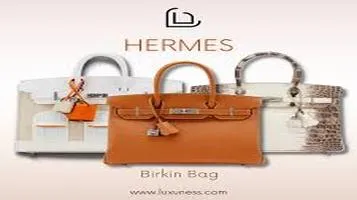 The Hermès Birkin: A Comprehensive Review of Luxury and Craftsmanship