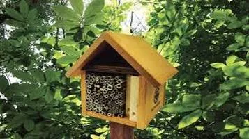 The Buzz About Bee Houses: A Detailed Review