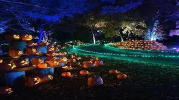 The Enchanting World of Pumpkin Lanterns