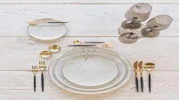 Dinner Plates - A Comprehensive Evaluation of Design, Functionality, and Value