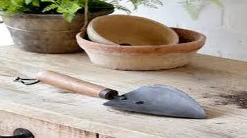 Review of the Classic Gardening Trowel: A Must-Have Tool for Every Gardener