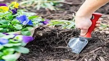 Hand Trowel A Garden Essential