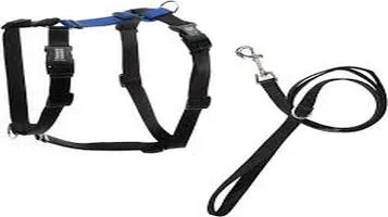 Review of Blue-9 Balance Harness Pet Harness