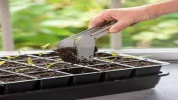 Seed Starting Kits: A Gardener’s Best Friend