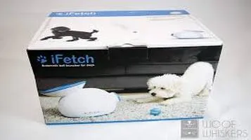 The iFetch Pet Training Clicker: An In-Depth Review