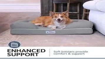 Review of PetFusion Pet Orthopedic Beds