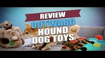 Outward Hound Pet Playing Products: A Comprehensive Review