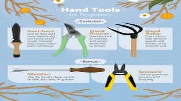 A Comprehensive Look at Essential Garden Tools