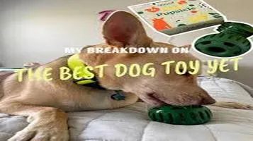 Keep Your Dog Entertained with PetFusion Ultimate Dog Toy