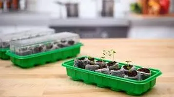 A Comprehensive Review of Seed Starter Kits: Cultivating Green Thumbs with Ease