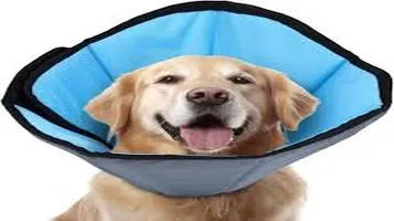 Product Outward Hound E-Collars (Cone of Shame)