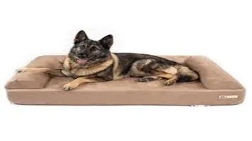 Big Barker Pet Orthopedic Beds