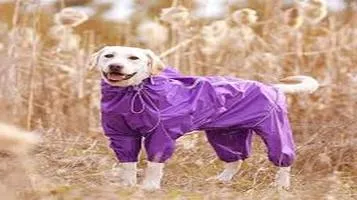 PetSafe Pet Raincoat