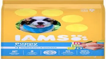 Iams ProActive Health Pet Eating and Drinking Supplies: A Comprehensive Review