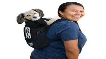 Review of K9 Sport Sack Pet Backpacks: A Game-Changer for Pet Lovers