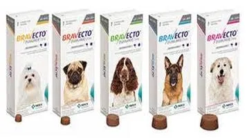 Review of Bravecto Pet Medications