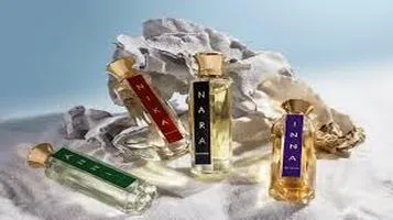 Discovering the Best Niche Perfume Brands: A Sensory Journey