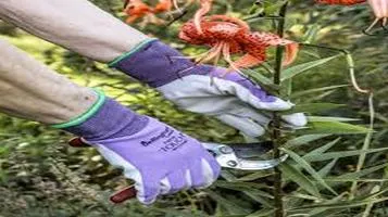 Garden Gloves