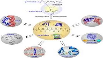 A Comprehensive Review of Peptides: The Building Blocks of Life and Beyond