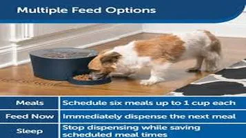 PetSafe Slow Feeder Bowls