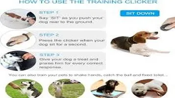 Clicker Training Pet Training Clicker: A Comprehensive Review