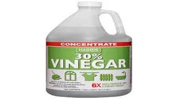 A Comprehensive Review of White Vinegar: The Unsung Hero of Household Essentials