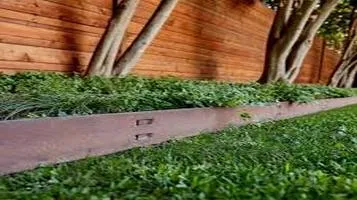 Lawn Edging: A Comprehensive Review