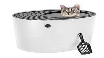 Review of the IRIS Top Entry Cat Litter Box: A Closer Look at a Self-Cleaning Solution