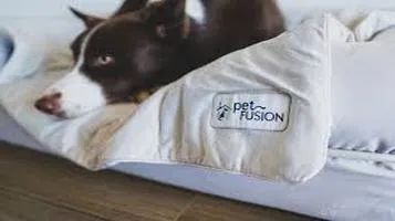 PetFusion Cooling Mat: A Comprehensive Review