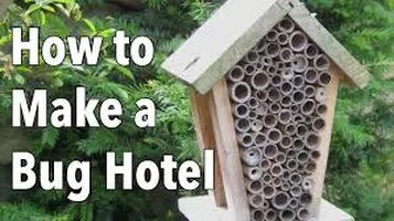 Garden Insect Hotels: A Sanctuary for Beneficial Bugs