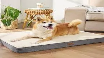 PetSafe Pet Orthopedic Beds: A Comprehensive Review